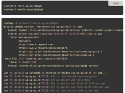WireGuard Install Screenshot 1