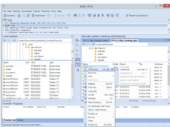 WISE-FTP Screenshot 1