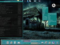 WCL Desktop Environment: The  Common Desktop Environment (CDE) w/xdg menuing.