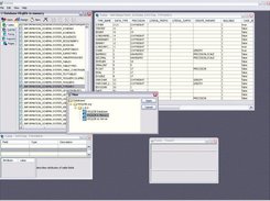 Early development of the UI