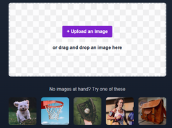 WithoutBG Screenshot 1