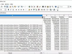 WizTree Screenshot 4