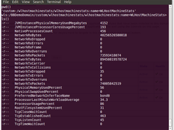 Using WLST to view machine mbean stats