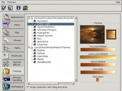 the theme browser