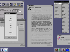 Chinese Localization