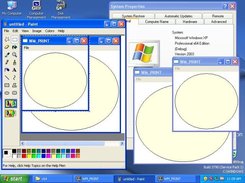 wmpaint demo on Windows XP 64 (32-bit and 64-bit demo).
