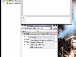 Roster, Message Widget and Browser