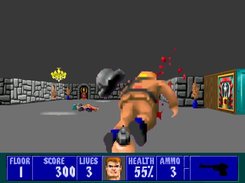 Wolfenstein 3-D Redux Screenshot 4