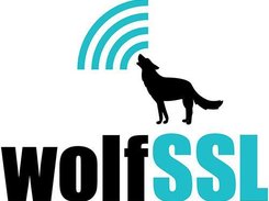 wolfSSL Screenshot 1
