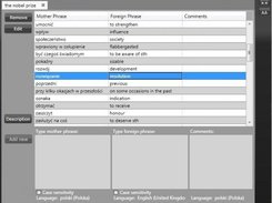 Application's main window
