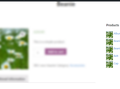 Woocommerce Product List Widget Screenshot 2