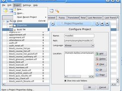Display Project Properties in Catalog Manager