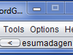 Screenshot of the window