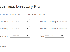 Filters and Custom Taxonomies