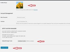 WORDPRESS AVATAR IN ADMIN PANEL