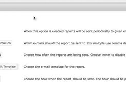 Specific Report Schedule Settings