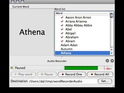 WordRecorder main window