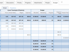 Manage project budgets and billing information