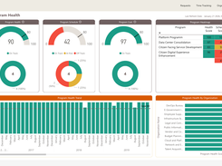 Executive reports surface program, portfolio, and project health
