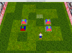 Adjustable Perspective