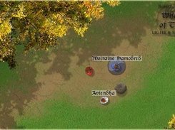 Level screenshot -  Tar Valon - Forest