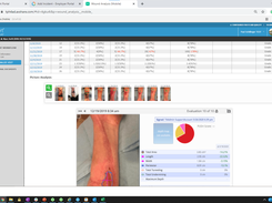 Net Health Wound Care Screenshot 1