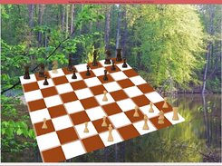 RelaxChess
