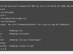 WP-CLI Screenshot 1