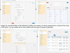 Define your content using entities and entity attributes.