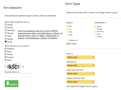 Use Font-Awesome webicon fonts in your radios, checkboxes and buttons.