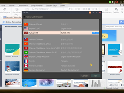wpn office tr dil desteği