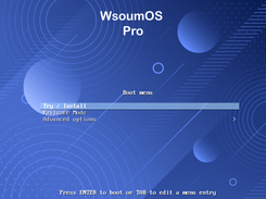 WsoumOS_Pro_boot