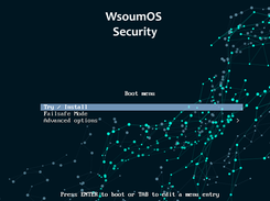 WsoumOS_Security_boot