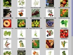 Crop Selection