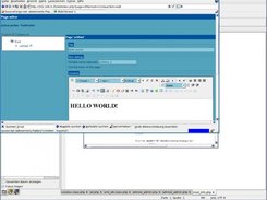 The cms module contains a WYSIWYG editor.
