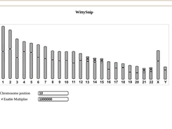 WtSNP Chromosome Selection