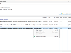 Main Application Window (German Windows 11)