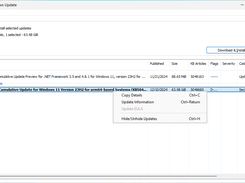 Main Application Window (Admin Mode, English Windows 11)