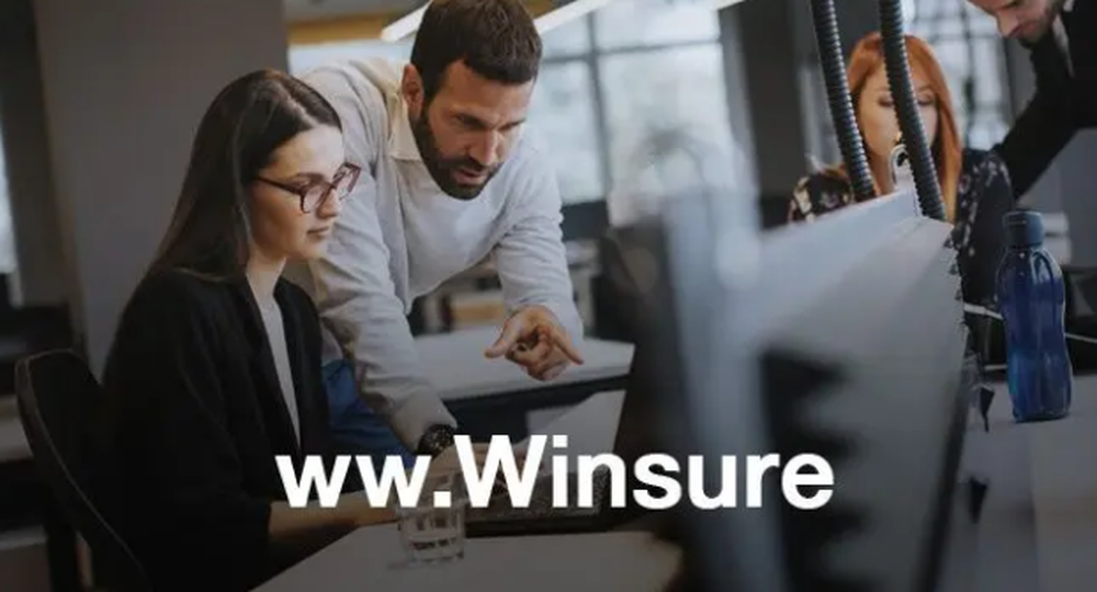 ww.Winsure Screenshot 1