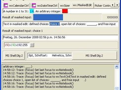 wx.NET sample: Masked Text Edit