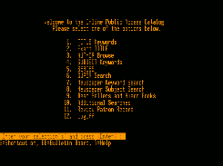 WY-60 Native font showing Dynix catalog.