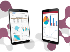 Mobile Dashboards