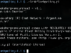 Xtreme Flash Policy 1.1