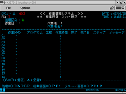 Example of DBCS Japanese Characters