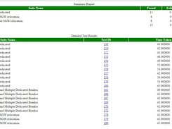 Web Test Report