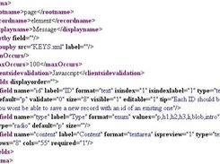 Typical record schema XML