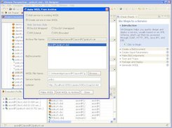 Access a service through SOAP, HTTP, JMS, EJB, Java API