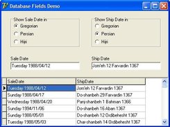 Database Fields