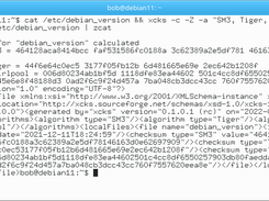 xcks on Debian 11 (Bullseye)