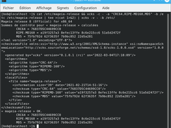 xcks on Mageia 8